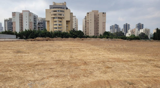 📊 Pourquoi la terre en Israël reste un investissement intelligent — chiffres vérifiés à l’appui