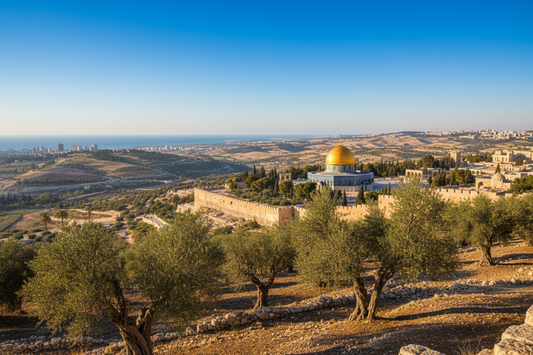 💰 Les terrains en Israël : le placement intelligent pour 2025 et au-delà 🇮🇱